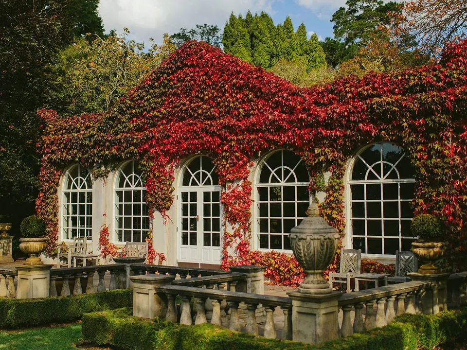 The ivy-covered orangery