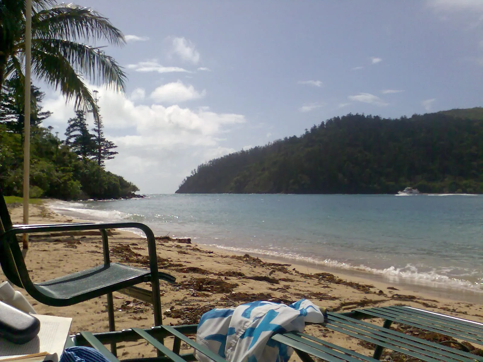 A beach with picnic benches and palms looking across calm water to a forested headland