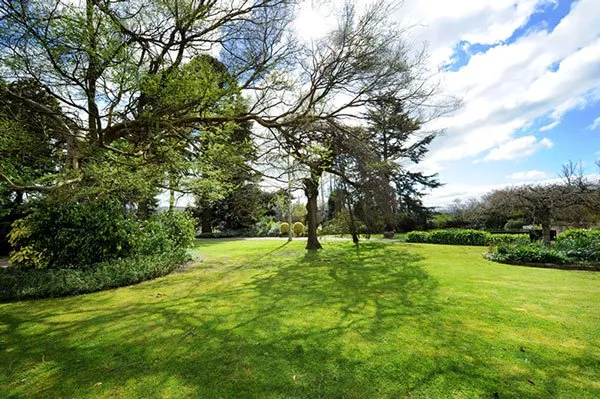 Heritage-listed gardens with the 1867 Chilean Palm