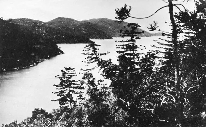 Black and white photograph of a long inlet between steep forested hills, framed by trees in the foreground