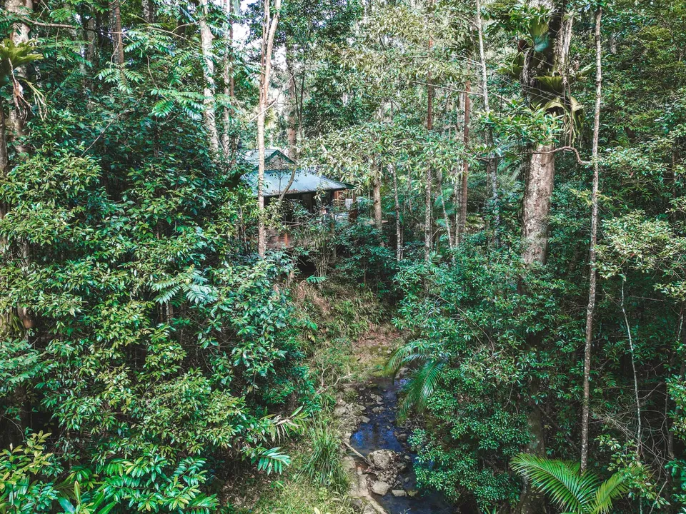 A villa in the rainforest canopy beside the creek