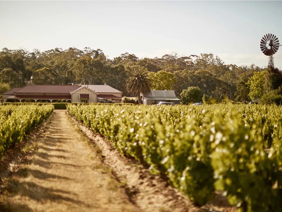 Le Mas Barossa