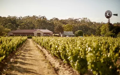 Le Mas Barossa