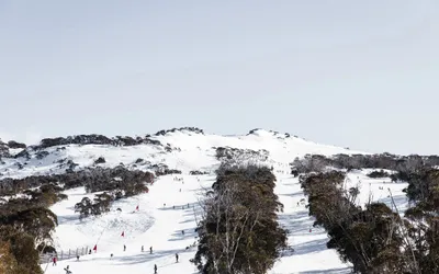 The Eastern