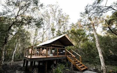 Paperbark Camp