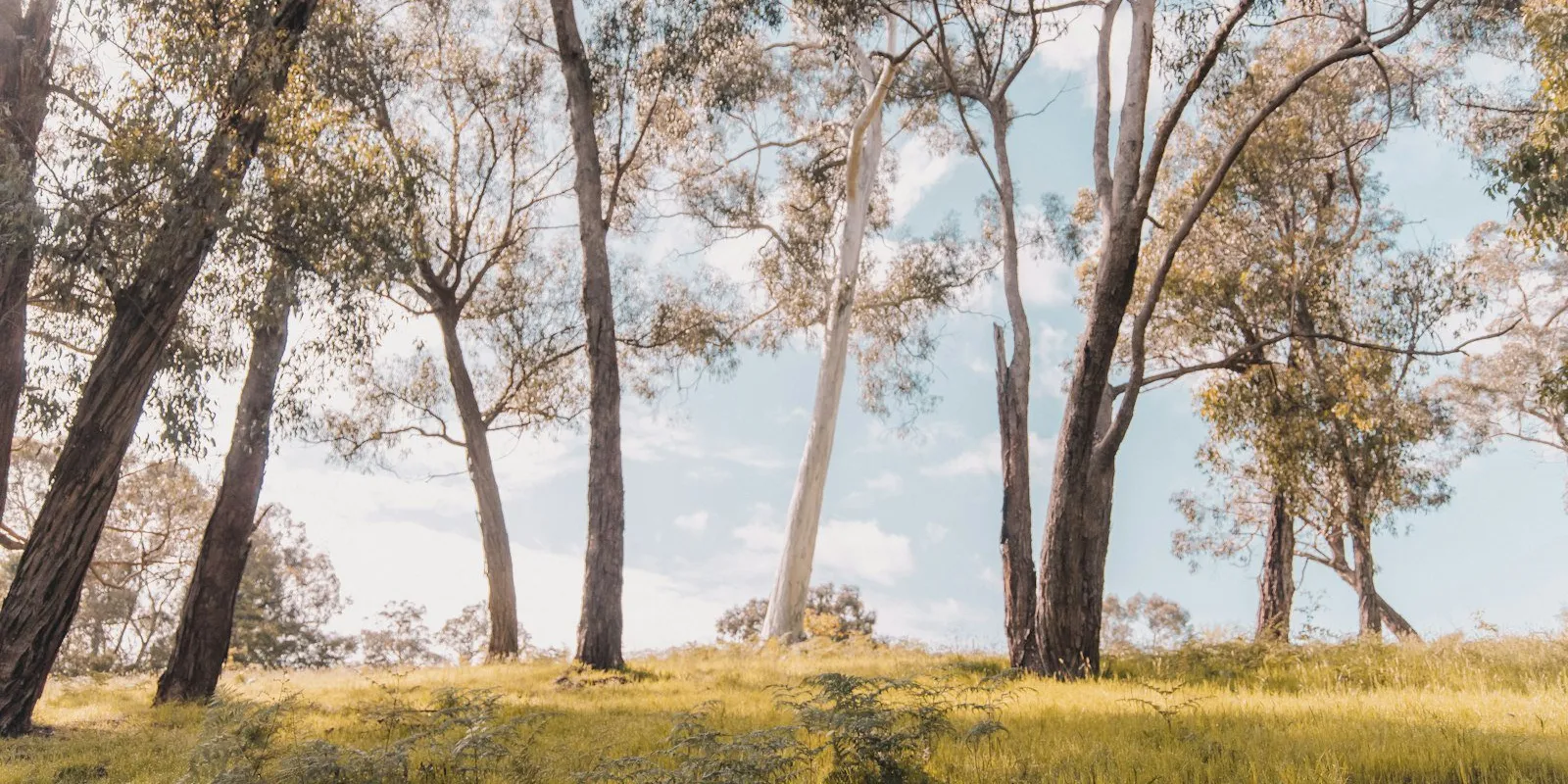 Yarra Valley