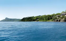 qualia