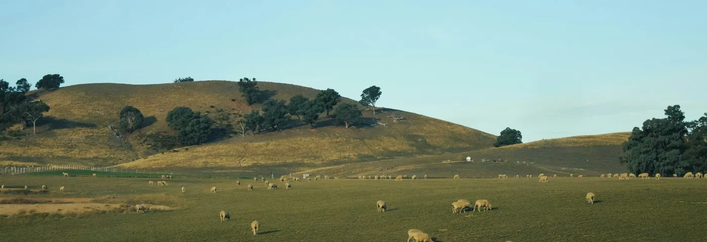 Southern Highlands