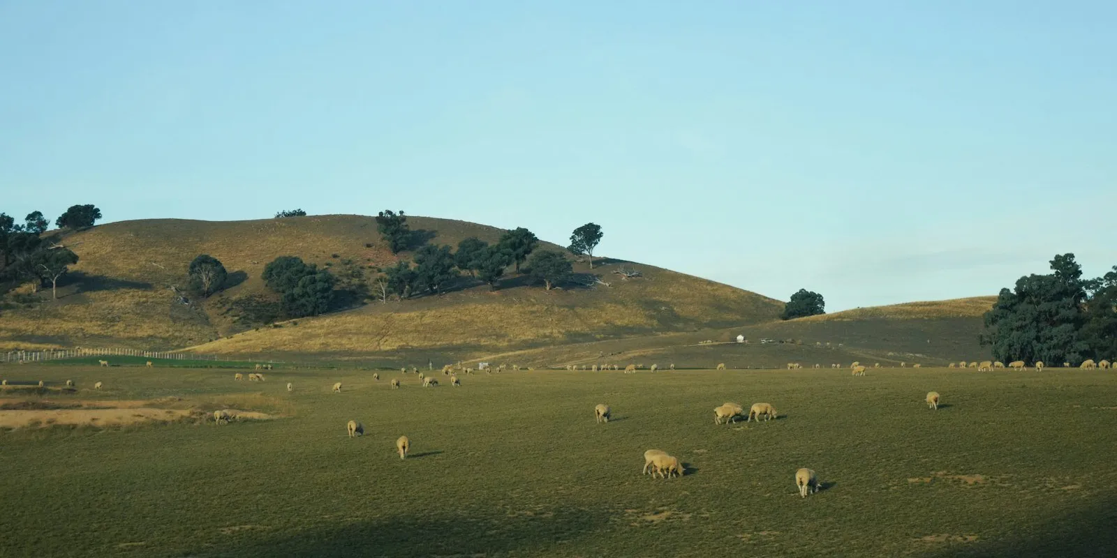 Southern Highlands