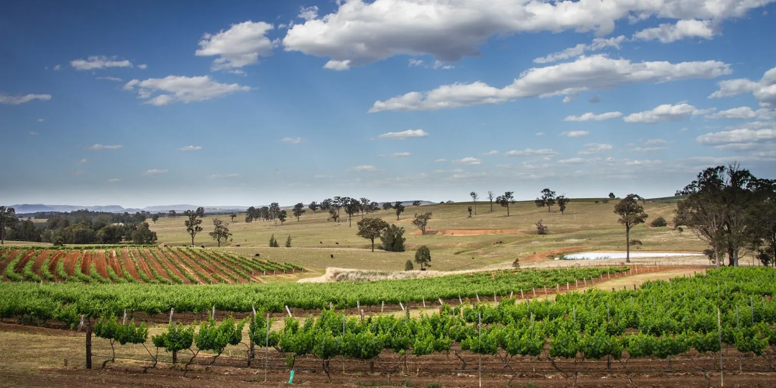 Hunter Valley