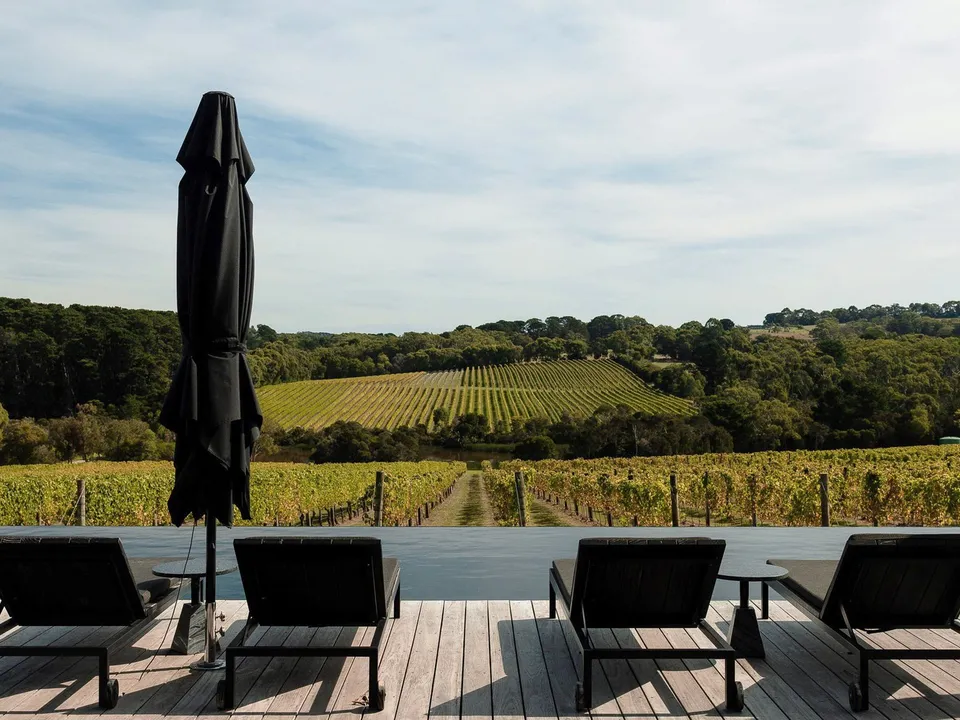 The 30-metre black infinity pool overlooking LL Vineyard