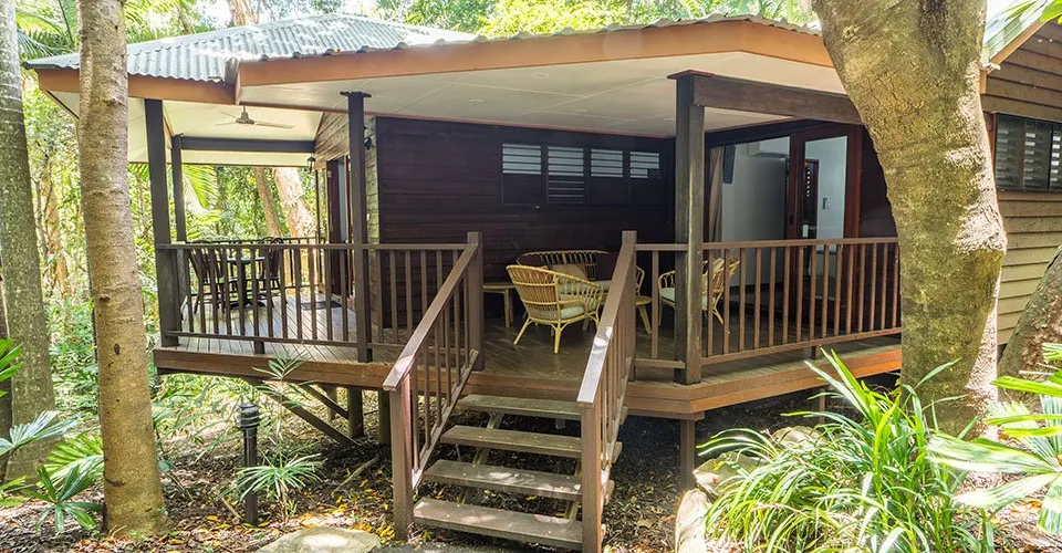 Kingfisher Suite in the rainforest canopy