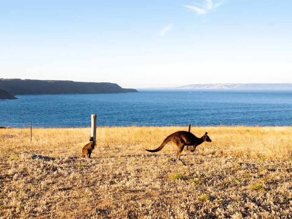 Coastal nature experiences