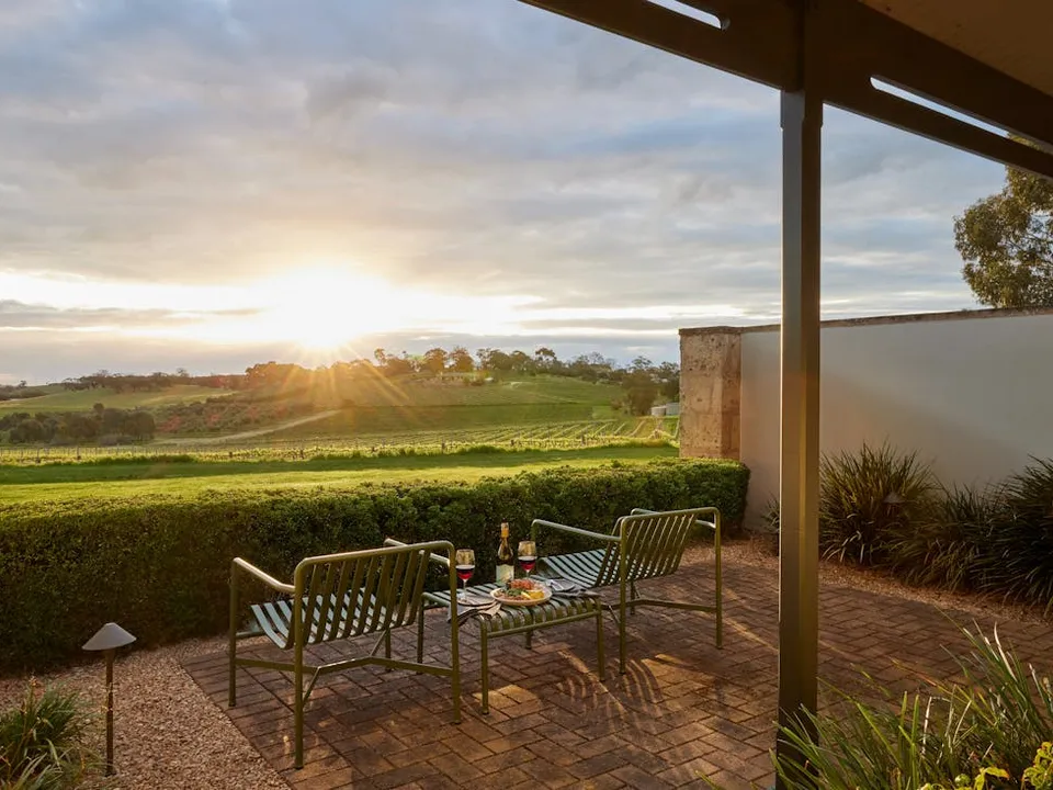 View over the vineyards